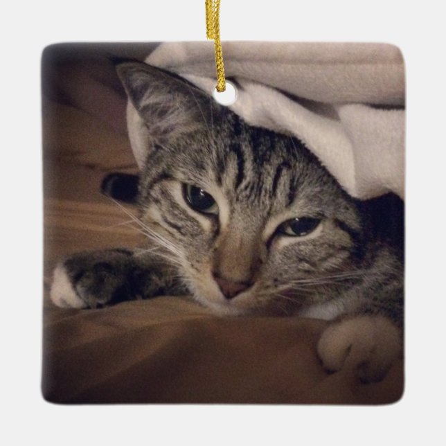 Ornement En Céramique Photo de chat Carré photo Noël (Devant)