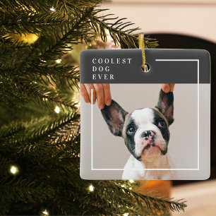 Ornement En Céramique Photo de chien moderne   Chien le plus frais jamai