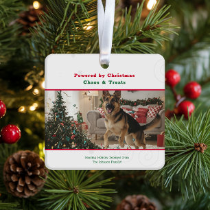 Ornement En Céramique Photo de Noël de chien drôle et vilain pour les fê