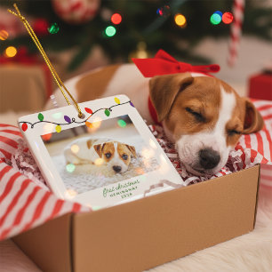 Ornement En Céramique Photo de Noël du Chien Chien Chien Chien Chien Chi