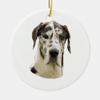 Ornement En Céramique Photo de portrait de Halequin great dane