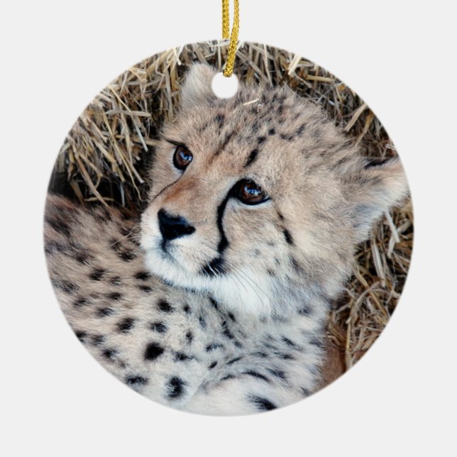 Ornement En Céramique Photo mignonne de CUB de guépard (Devant)
