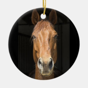 Ornement En Céramique Photographie de visage de cheval