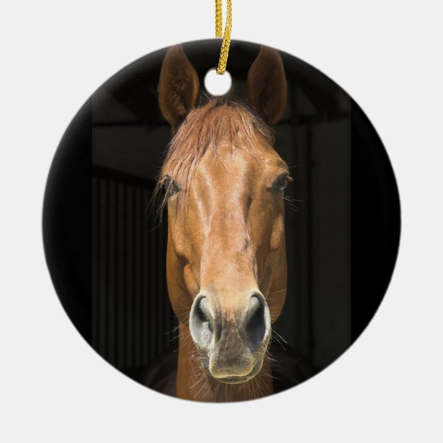 Ornement En Céramique Photographie de visage de cheval (Devant)