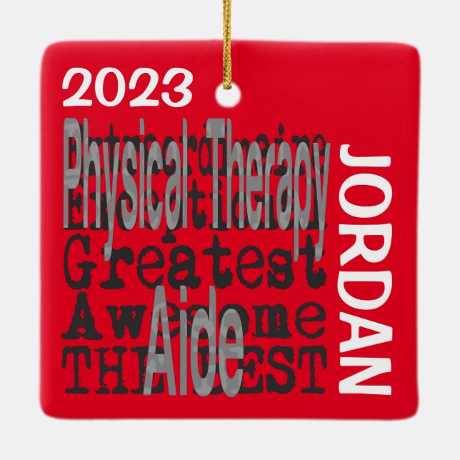 Ornement En Céramique Physothérapie Aide Extraordinaire CUSTOM (Dos)