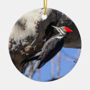 Ornement En Céramique Pivert de Pileated