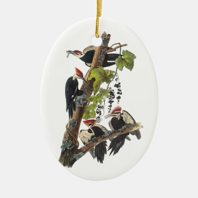Ornement En Céramique Pivert de Pileated par Audubon (Devant)