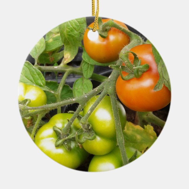 Ornement En Céramique Plante de tomate (Devant)