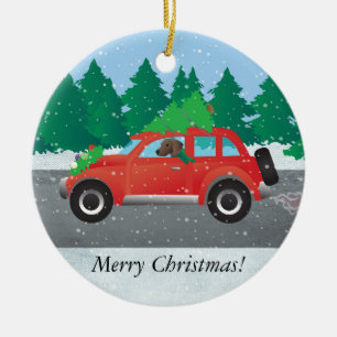 Ornement En Céramique Plott Hound Chien conduisant voiture de Noël