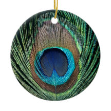 Plume de paon foncé
