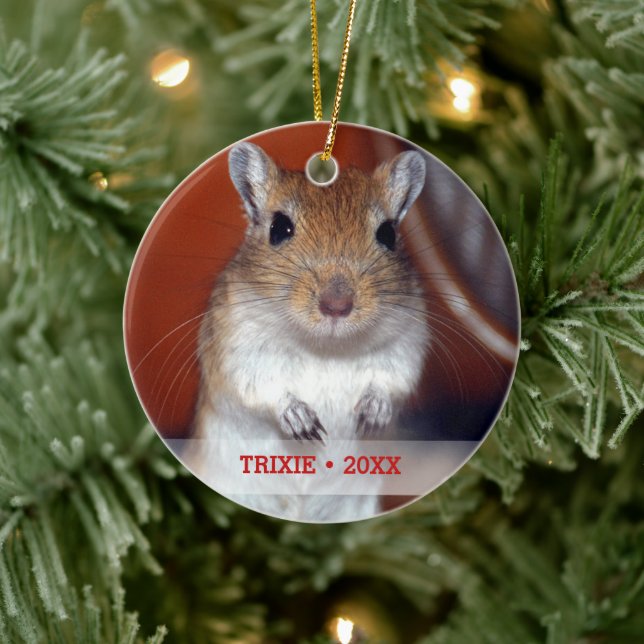 Ornement En Céramique Poète personnalisé Gerbil Nom photo Arbre de Noël (Arbre)
