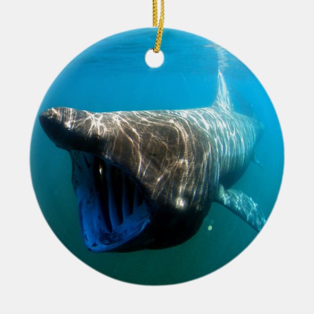 Ornement En Céramique Poisson de requin Océan tropical Destin Cadeaux (Devant)