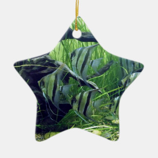 Ornement En Céramique Poissons rayés d'aquarium