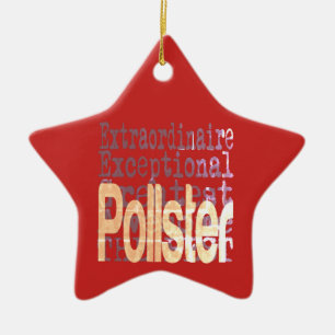 Ornement En Céramique Pollster Extraordinaire