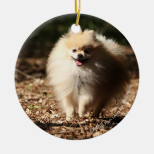 Ornement En Céramique Pomeranian trottant dans le feuille tombé