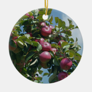 Ornement En Céramique Pommes rouges sur l'ornement de nature d'arbre