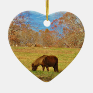 Ornement En Céramique Pony miniature Brown