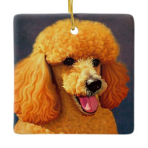 Poodle mignon