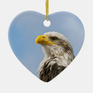Ornement En Céramique Portrait d'aigle à tête blanche Art animalier