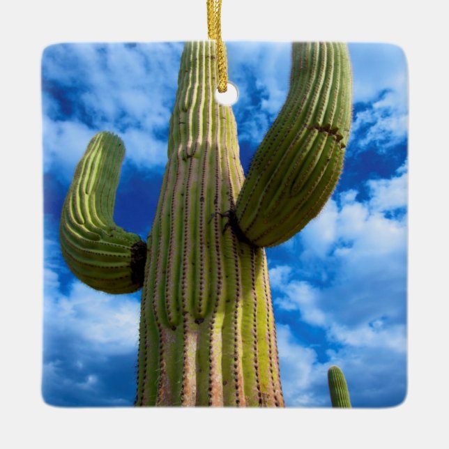 Ornement En Céramique Portrait de cactus du Saguaro, Arizona (Devant)