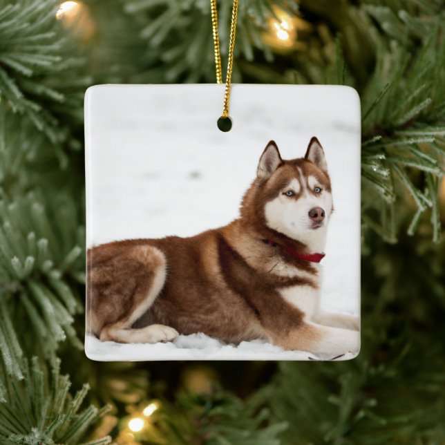 Ornement En Céramique Portrait de Cute Siberian Husky (Arbre)
