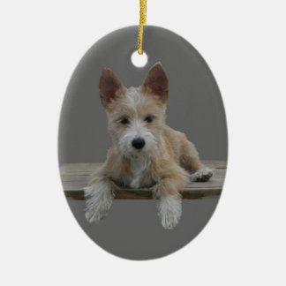 Ornement En Céramique Portugais Podengo Pequeno de fil