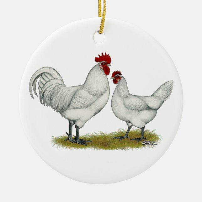 Ornement En Céramique Poulets de pieds bleus (Devant)
