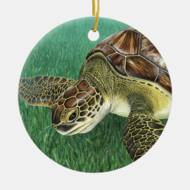 Ornement en céramique pour tortue verte juvénile (Devant)