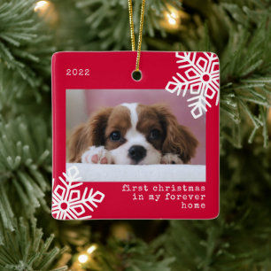 Ornement En Céramique Premier Noël Dans Mon Forever Home Photo Chien