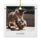 Premier Noël de l'animal de compagnie à Forever No