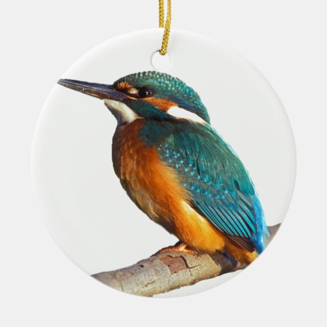 Ornement En Céramique Produits design "Kingfisher" (Devant)