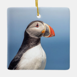 Ornement En Céramique Puffin Atlantique en Machias, Maine