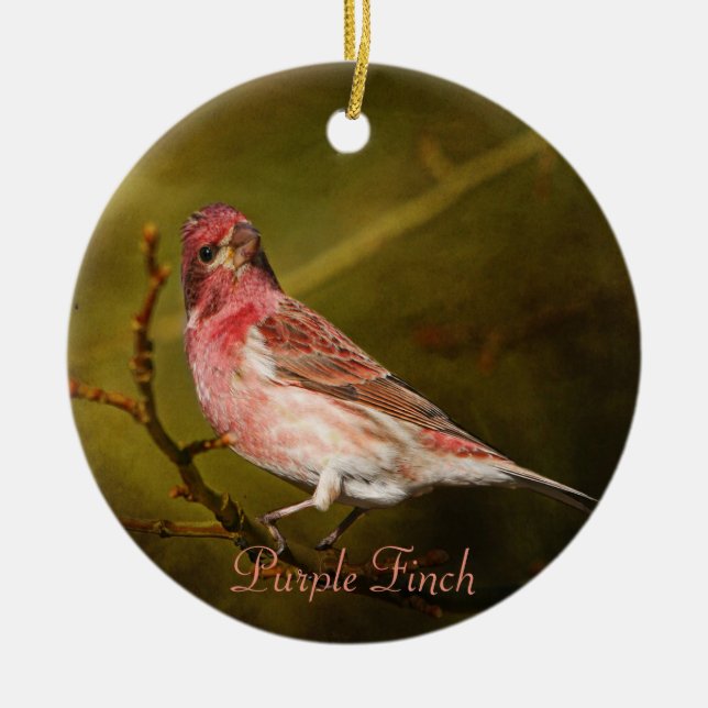 Ornement En Céramique Purple Finch Photographie ronde (Devant)