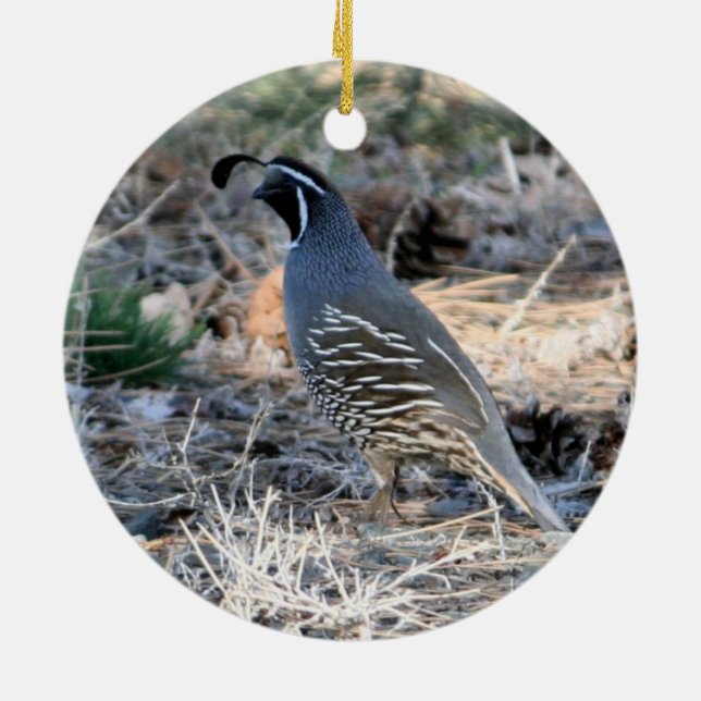 Ornement En Céramique Quail de Californie (Dos)