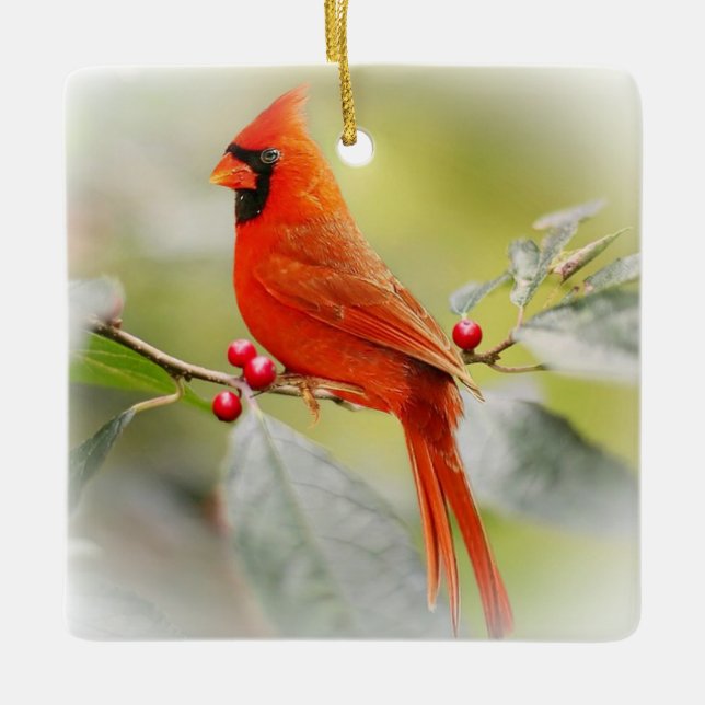 Ornement En Céramique Quand un Cardinal apparaît un Amoureux du Ciel est (Devant)