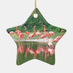 Ornement En Céramique Rangée de Flamant rose au lac au printemps, Oiseau