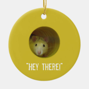 Ornement En Céramique Rat mignon chez un animal drôle de trou