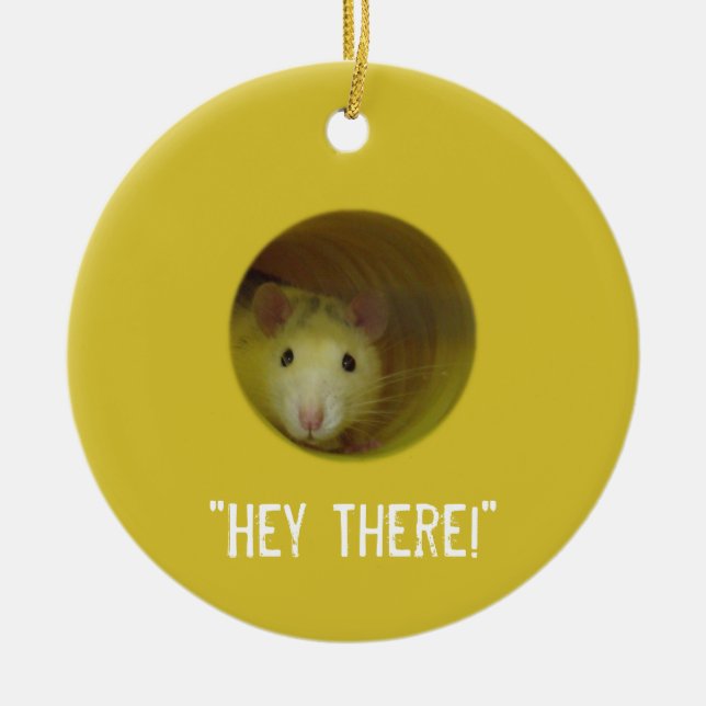 Ornement En Céramique Rat mignon chez un animal drôle de trou (Devant)