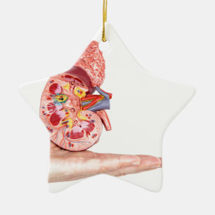 Ornement En Céramique Remettez montrer le modèle avec à l'intérieur d