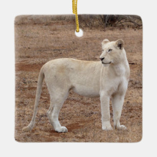 Ornement en céramique représentant une rare lionne