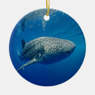 Ornement En Céramique Requin baleine