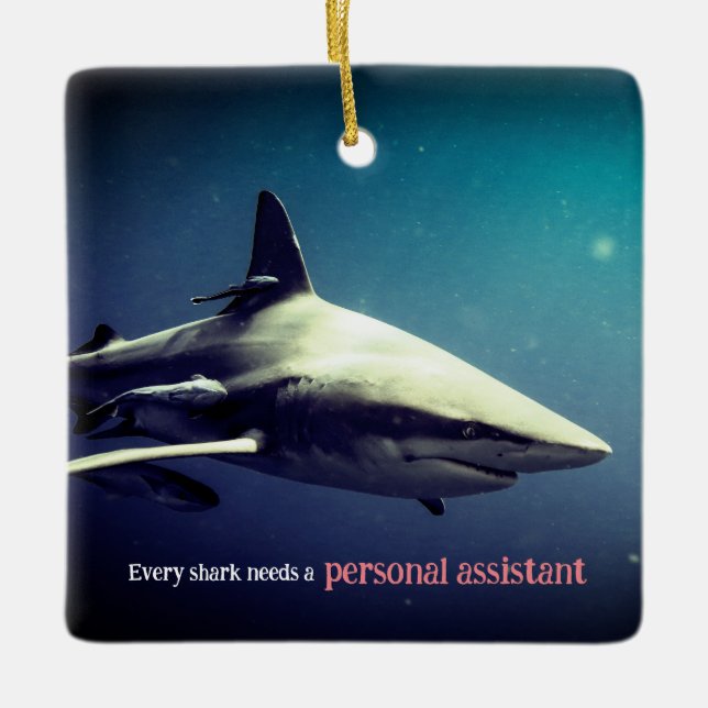 Ornement En Céramique Requin océanique à pointe noire sous l'eau (Devant)