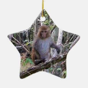 Ornement En Céramique rhesus macaque