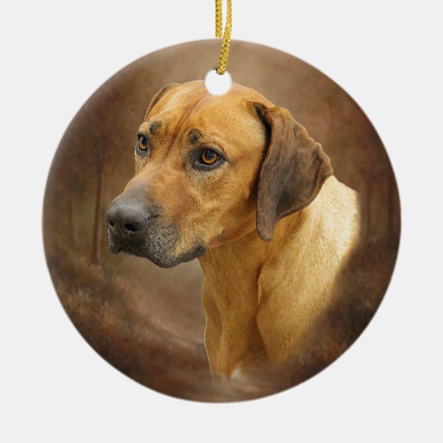 Ornement En Céramique Rhodesian Ridgeback (Devant)