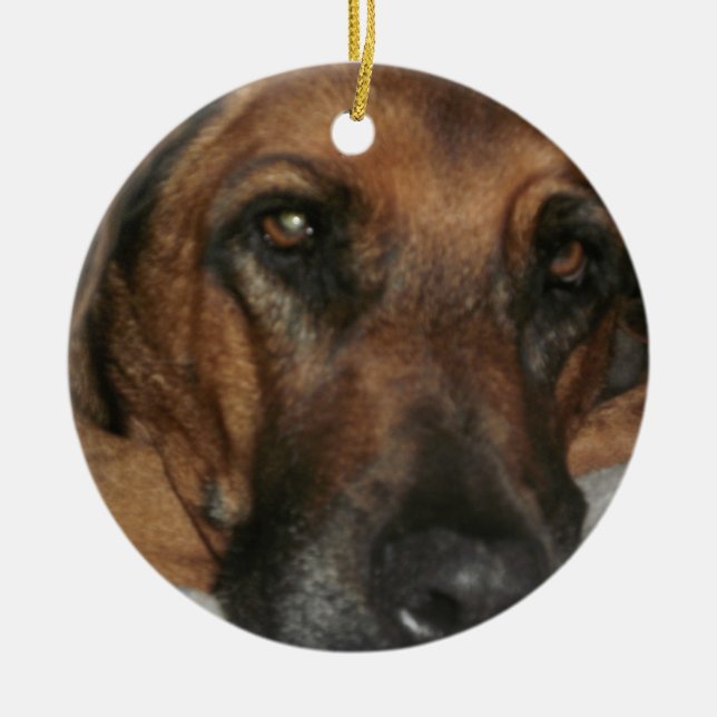 Ornement En Céramique Rhodesian Ridgeback Orament (Devant)