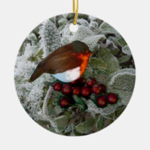 Robin de Noël