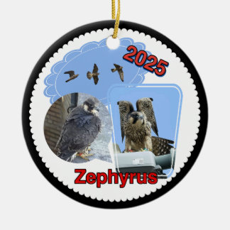 Ornement en céramique rond Zephyrus 2025