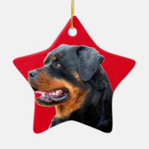 Ornement En Céramique Rottweiler