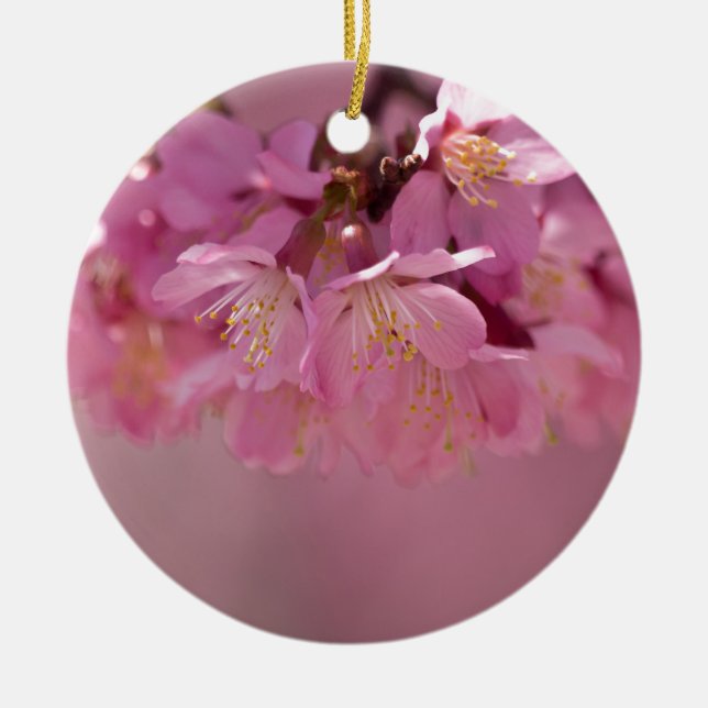 Ornement En Céramique Sakura Cherry Blossoms Delicate Pink Bouquet (Devant)