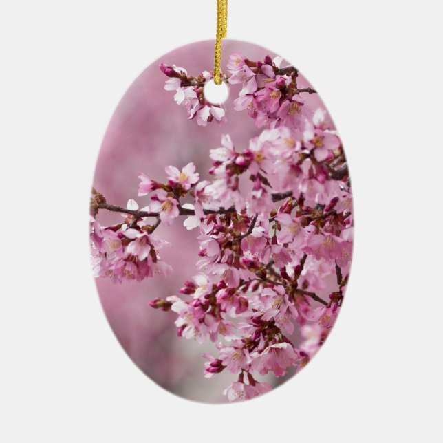 Ornement En Céramique Sakura Cherry Blossoms Pastel Pink Layers (Devant)